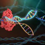 DNA & Cas9 Protein - Image